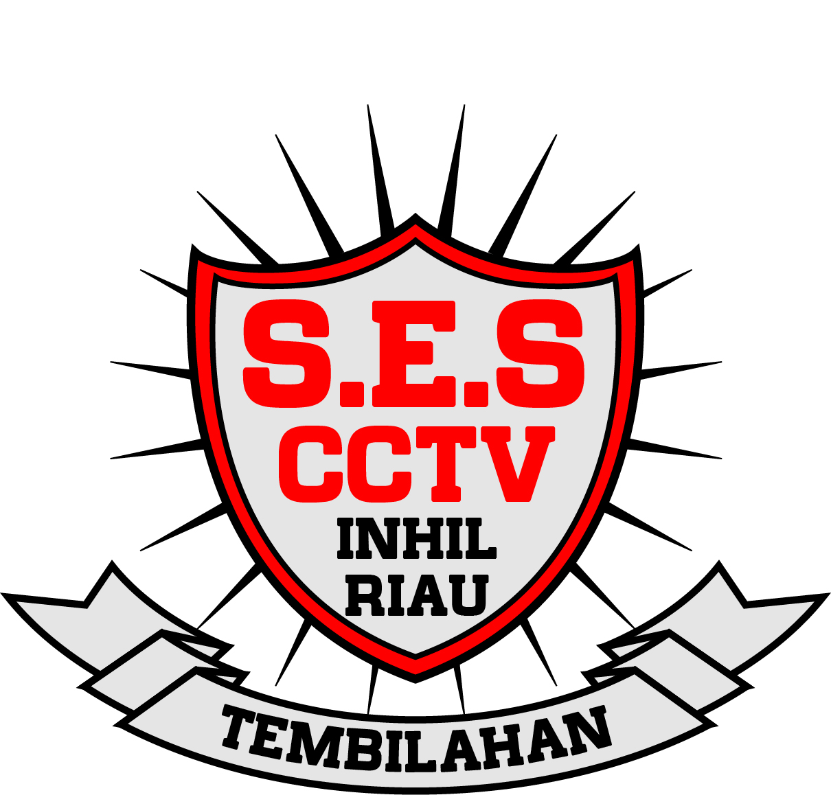 SES CCTV